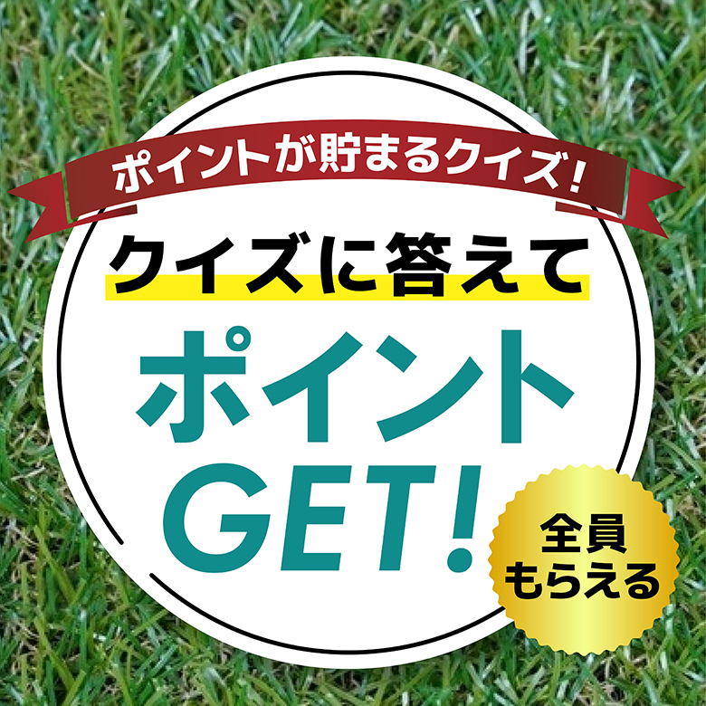 【ポイントが貯まる】旬の野菜クイズ